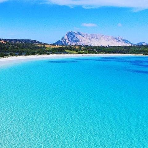 Sardinian